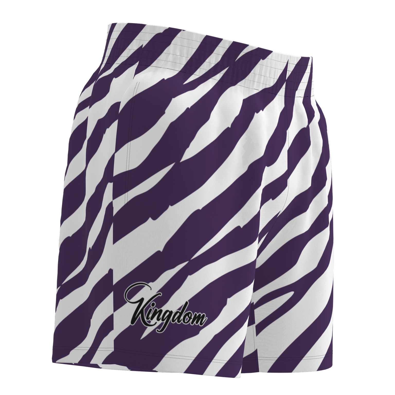 Kingdom Mesh Shorts - Zebra